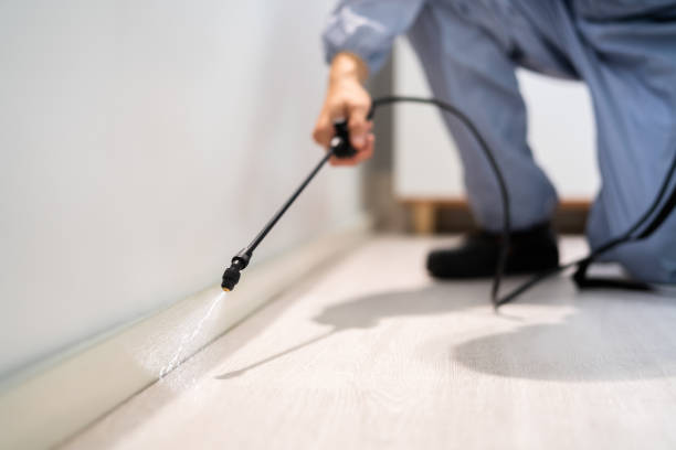 Licensed Fumigation Services service in Wapello, IA - Nex Pest Control