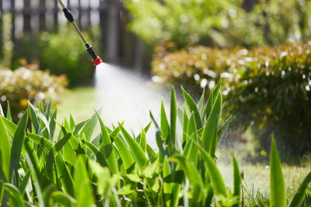 24/7 Emergency Fumigation Services experts in Wapello, IA