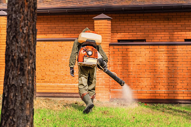 Trusted Ant Control service in Wapello, IA - Nex Pest Control